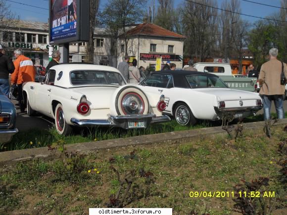 romania belgrad 09.04.2011 ford-uri: mustang Fondator Banat Auto Retro Club