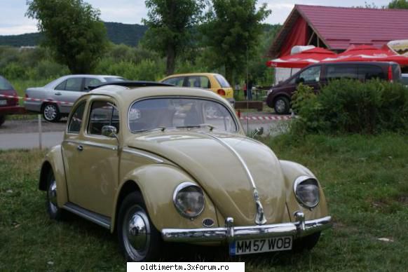 Bug Feest Tg. Mures 22-24.o7.2011. - A fost al doilea intalnire organizata sub - EVENIMENTE IN TARA