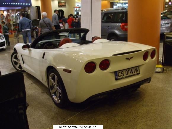 CAR SHOW Timisoara - administrator - EVENIMENTE IN TARA