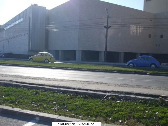 Clasice vazute pe strazile din Timisoara - broscute din Timisoara - UNIVERSUL CLASICELOR