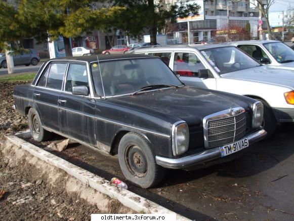Clasice vazute pe strazile din Timisoara - asv - UNIVERSUL CLASICELOR