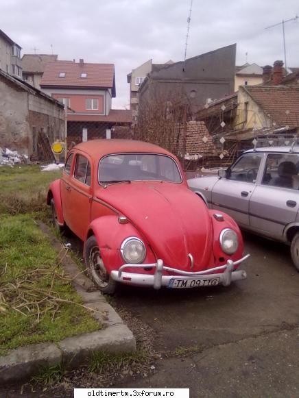 Clasice vazute pe strazile din Timisoara - O broscuta abandonata, se pare - UNIVERSUL CLASICELOR