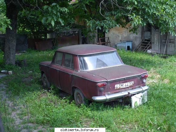 Clasice vazute pe strazile din Timisoara - administrator - UNIVERSUL CLASICELOR