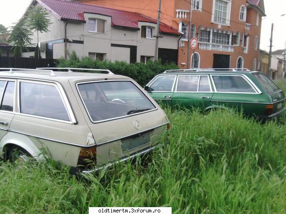 Clasice vazute pe strazile din Timisoara - doua cobre break - UNIVERSUL CLASICELOR