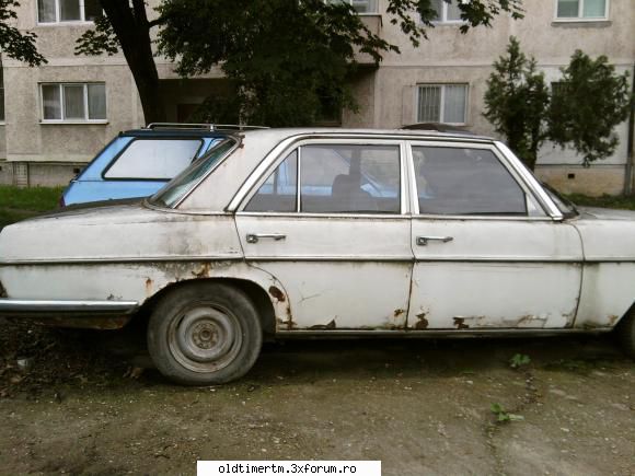 Clasice vazute pe strazile din Timisoara - si un bot de cal - UNIVERSUL CLASICELOR