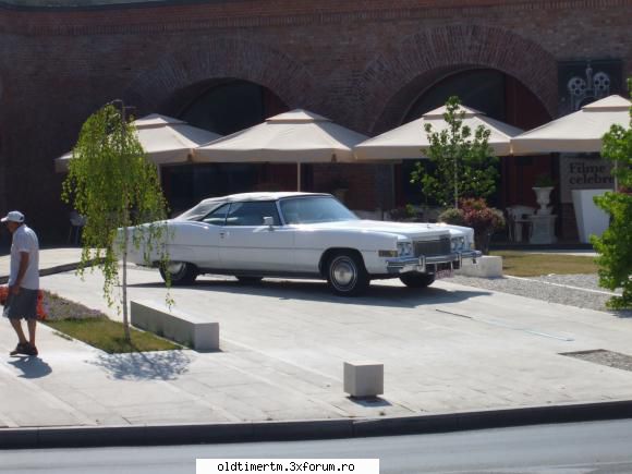 Clasice vazute pe strazile din Timisoara - am trecut azi pe langa Cadillac - UNIVERSUL CLASICELOR
