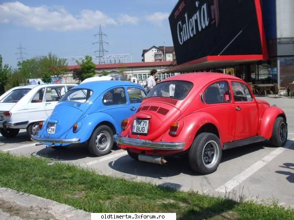 Intalniri in Timisoara 2010 - broscute faine jentile la cea rosie - INTALNIRI OLDTIMER CLUB TIMISOARA