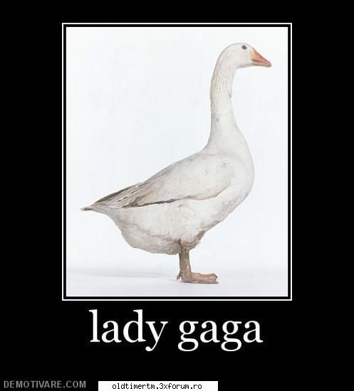 No Coment. - wob - FUNNY
