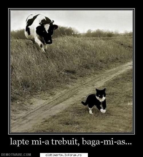 No Coment. - Daca ai bea bere ai putea sta pe loc - FUNNY