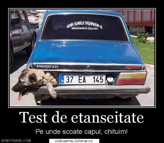 No Coment. - wob - FUNNY