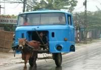 Poze inedite,dar.... haioase. - asv - FUNNY