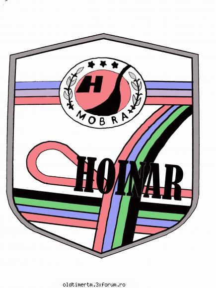Restaurare Hoinar - cu ajutorul pozei postate de adrian_zarnesti am - RESTAURARI