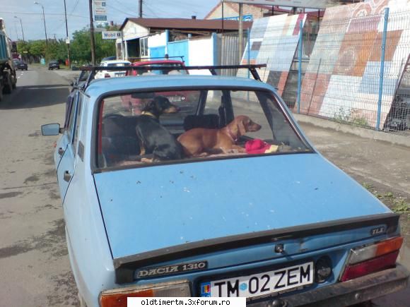 Tuning mioritic - marczello_b - FUNNY
